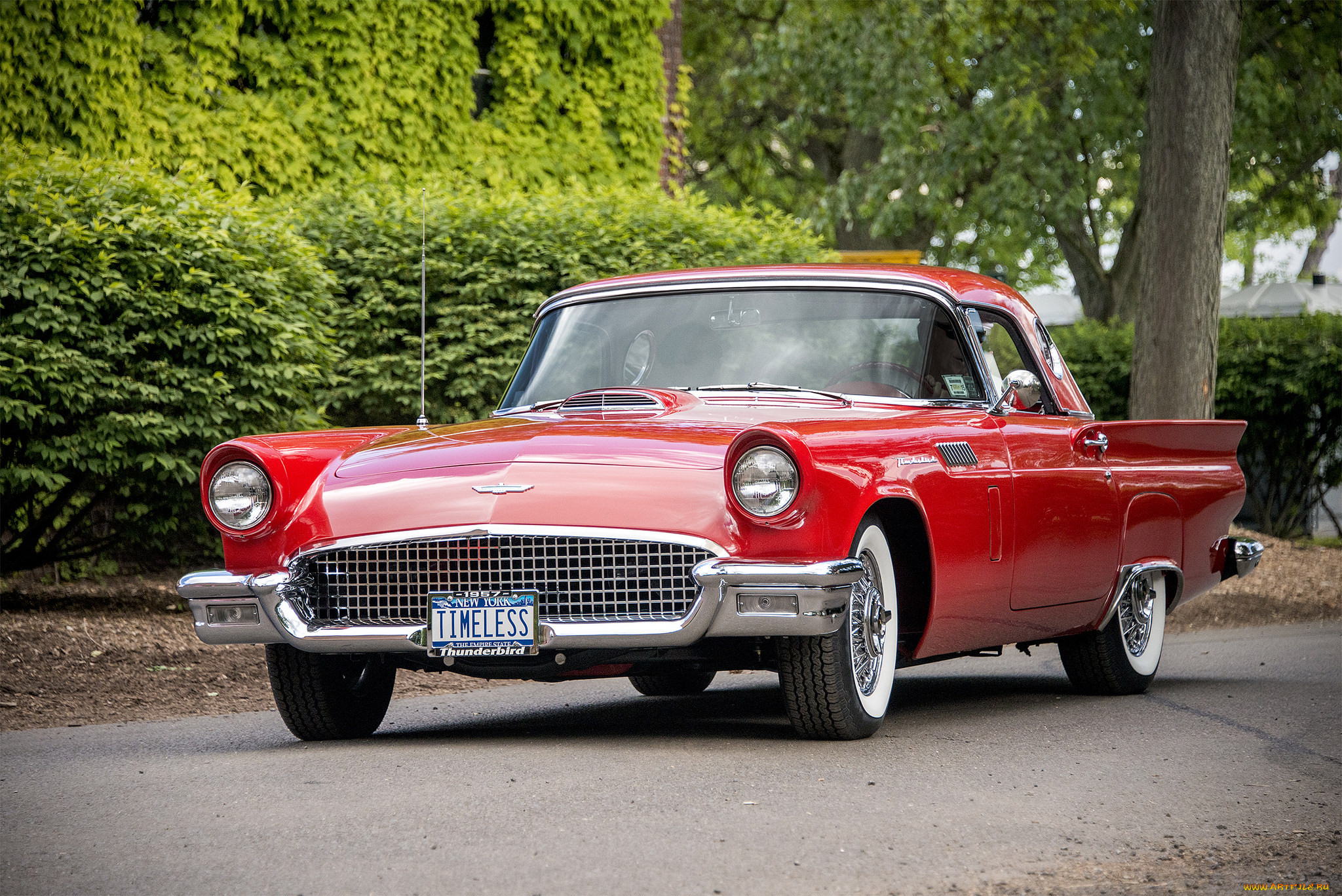 ford thunderbird, , ford, , , 